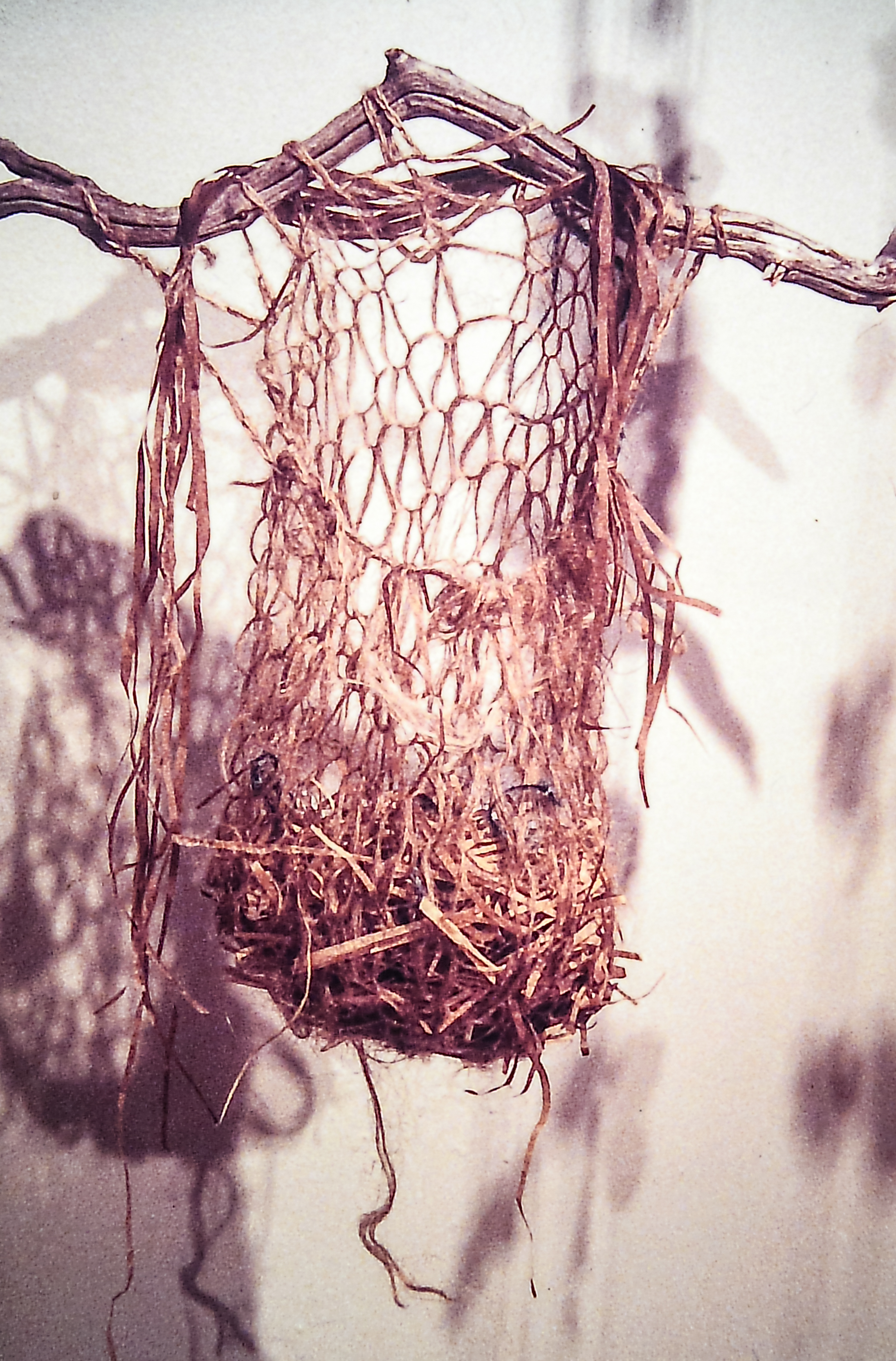 Alt text: Nest with handmade paper
