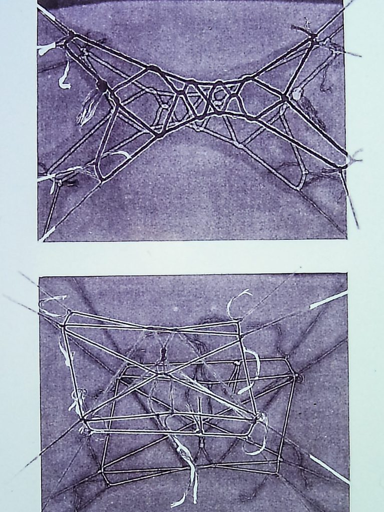 Alt text: Cats Cradle Monoprint