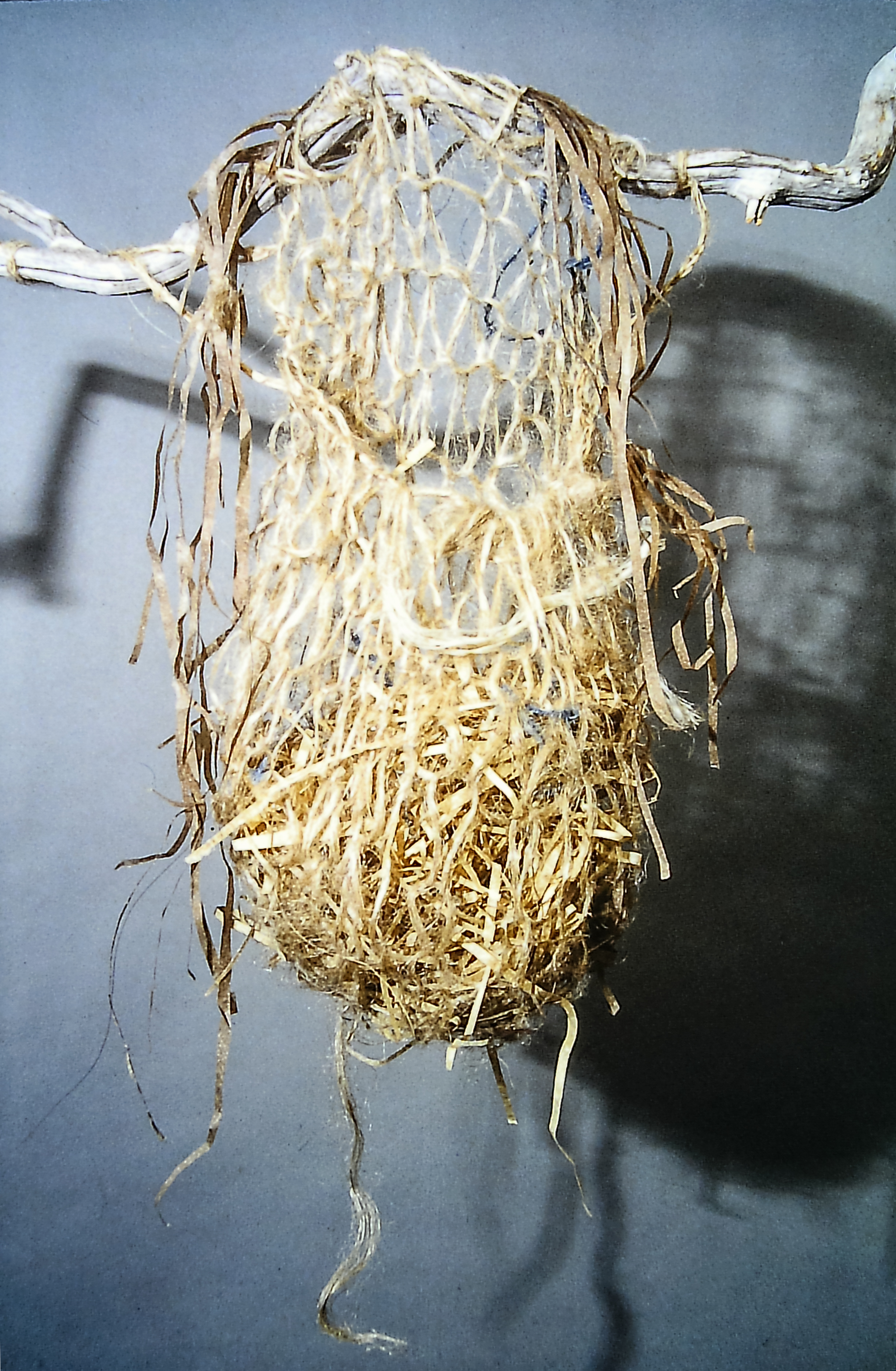 Alt text: nest made of flax string