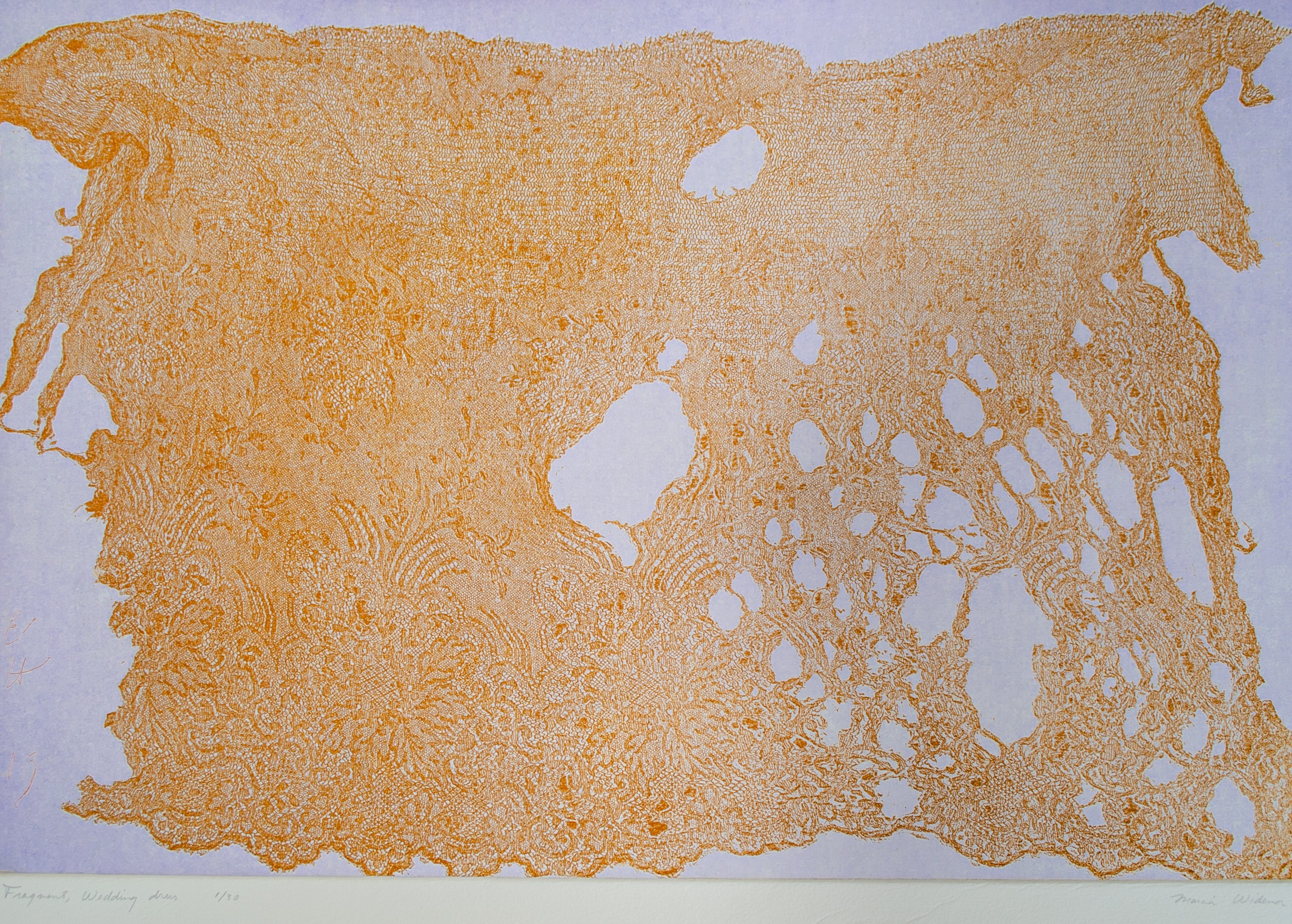 Alt text: Print from a wedding dress fragment